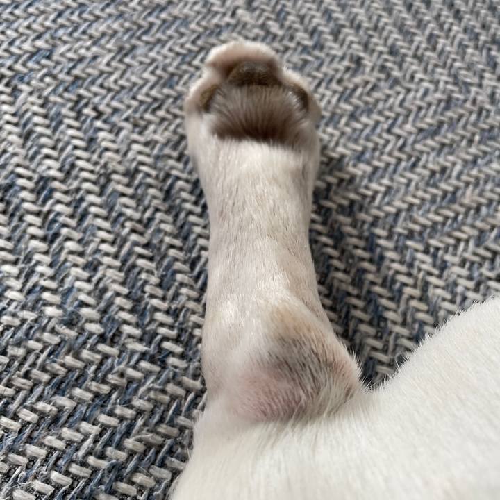 D0e83b7c c6b4 40c0 907c 6c1261e2bc64 1751064992412