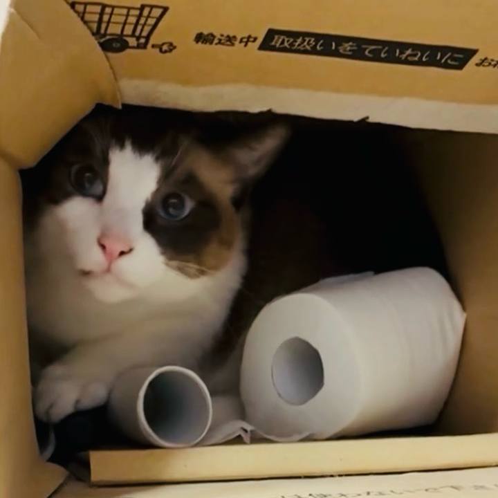 D0e83c4c 3417 4082 93a4 18002777bd86 1759027721093