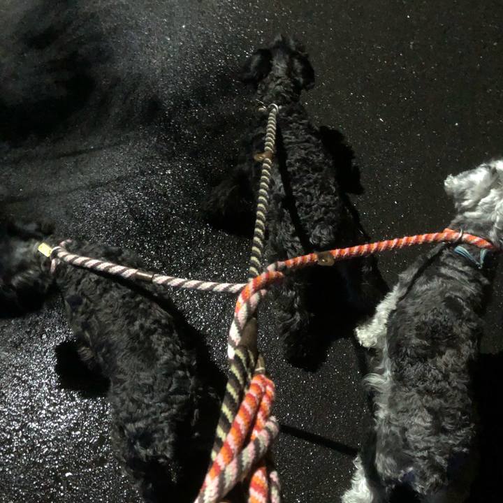 D0e848f6 a134 4ac0 acb8 67c6c0d2f6e7 1561813054741