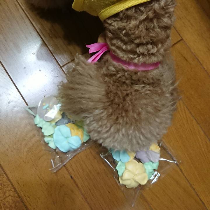 D0e855be d2e2 4bd8 9abf cdc55631081f 1558880227191