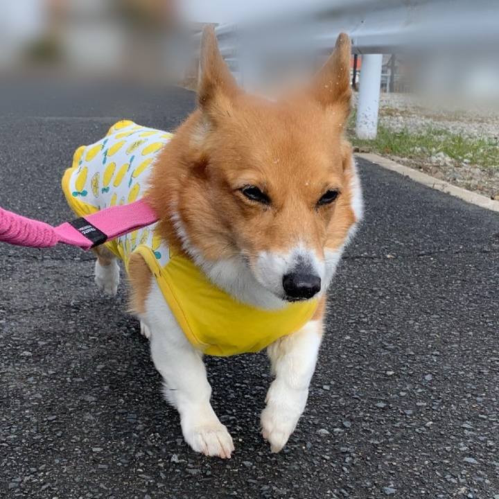 D0e87282 b712 46b0 8ba1 6ea7a5f90f89 1705380448807