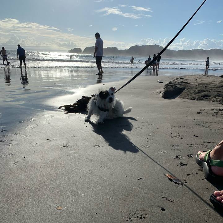 D0e876df e03e 49ca abe4 746d6b45386f 1599395973235