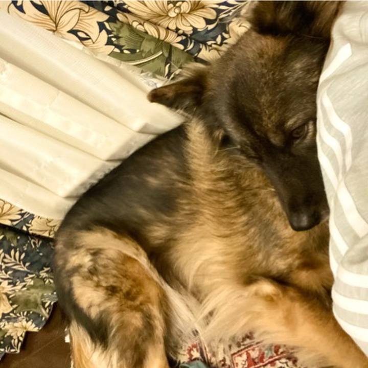 D0e87e83 2bbe 4590 b374 0600d1602f5b 1767275999442