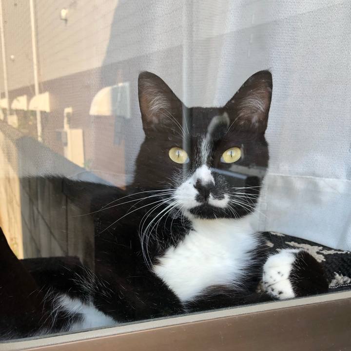 D0e98a88 b304 4d3c 9e4e 9e6954783a67 1566532246579