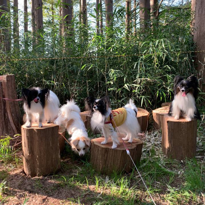 D0e9942f 5091 4205 8d2e f4b4990a573c 1572686849863