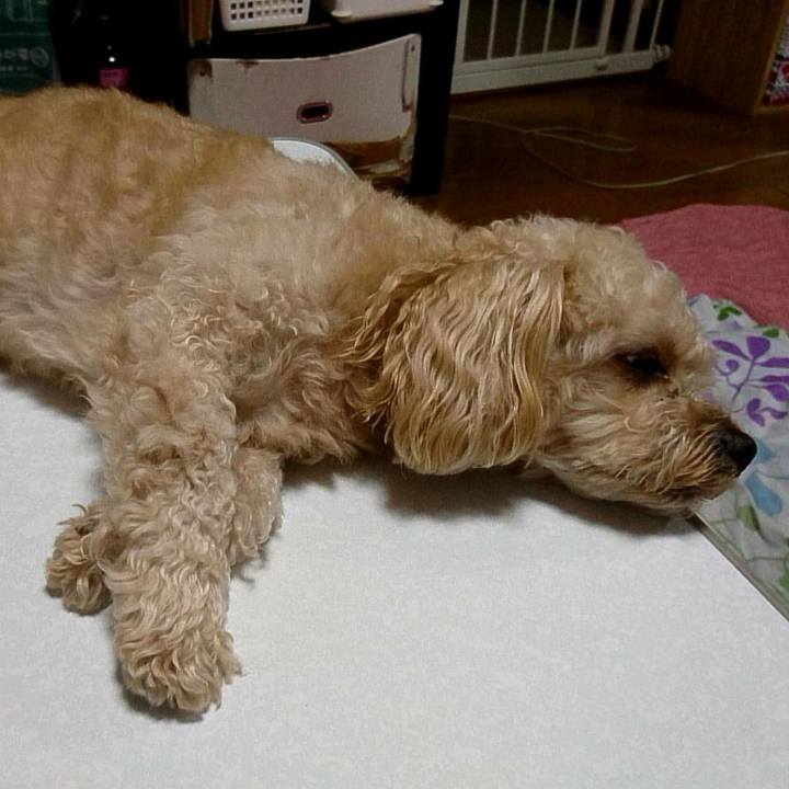 D0ea1367 b630 4cc2 989c 5561ebbc6850 1530877701431