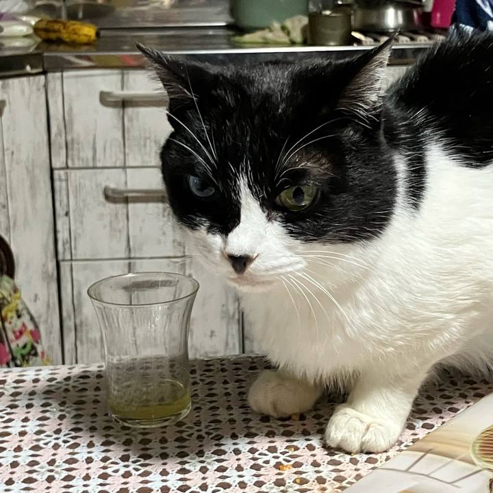 D0ea6329 650b 4c9b a3a8 66576f07bdb3 1715773562056