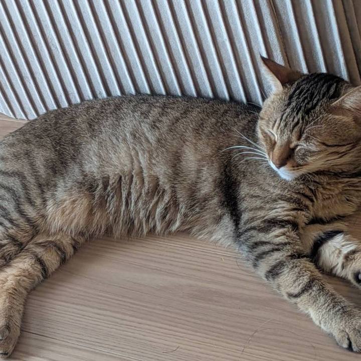 D0ea7f48 f270 494d add1 ffd1c0373b72 1766611524352