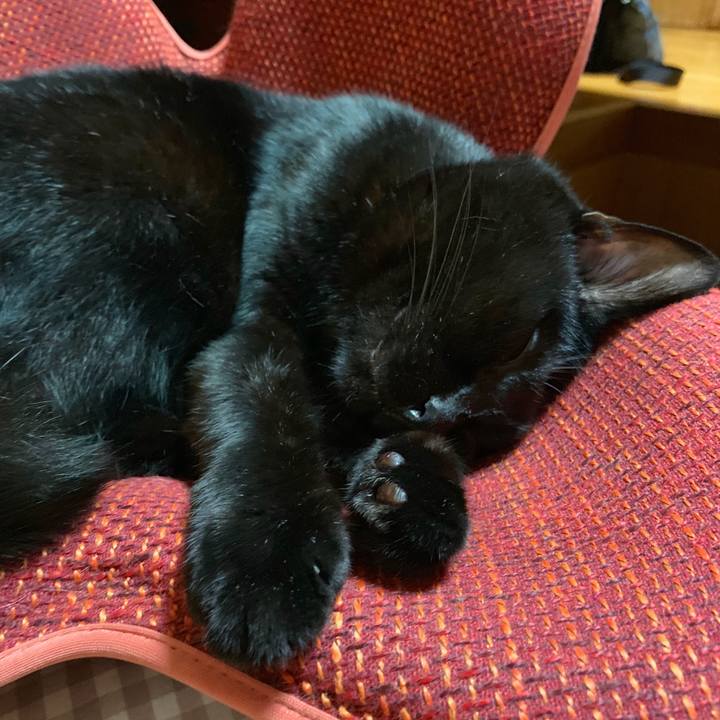 D0ea84c7 3392 4b30 bfb2 5e06becf393c 1563630213834