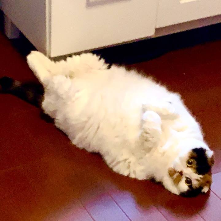 D0eab52b ce58 4e55 acb8 563a713e07d5 1580697894479