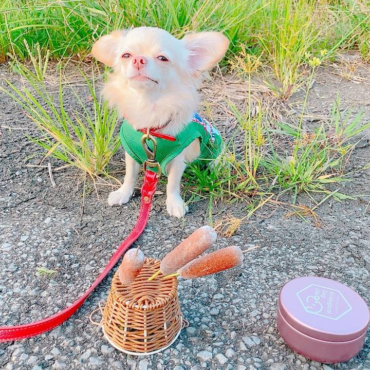 D0eac2ab cbd8 45e1 8d4c db9b7b9fdef2 1633874605597