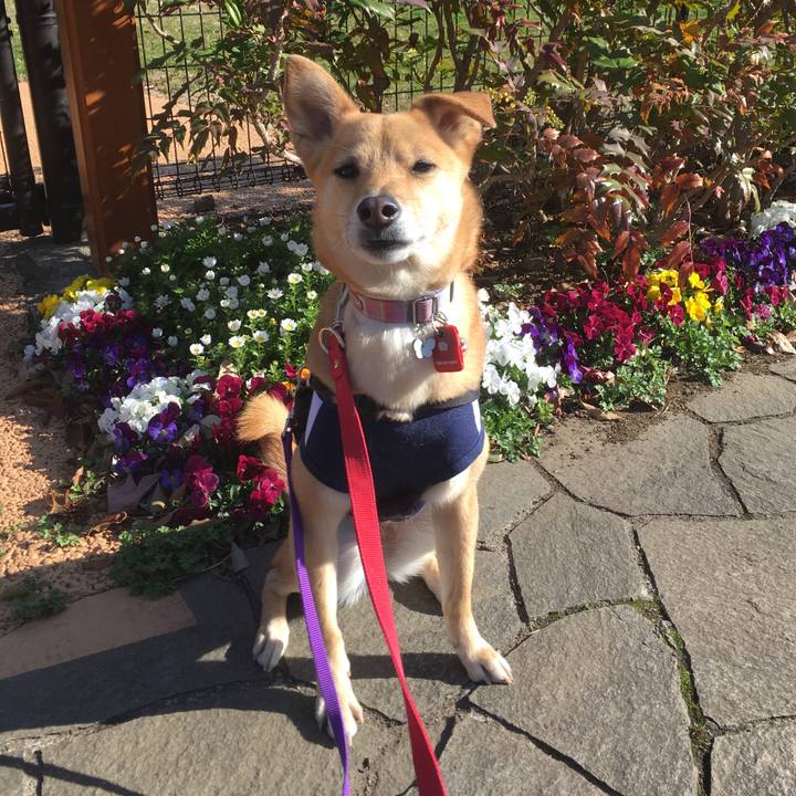 D0eaecea d4ec 4861 8b13 120dea04c85b 1552550983553