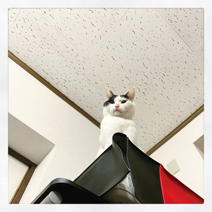 D0eaf7a6 841e 415a 956d c0d559b79615 1610461638473