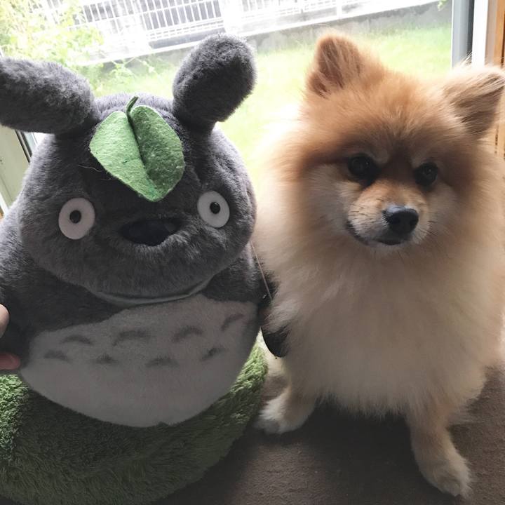 D0eaf8b8 60e7 4235 914c e237ad1ae09c 1507859045189