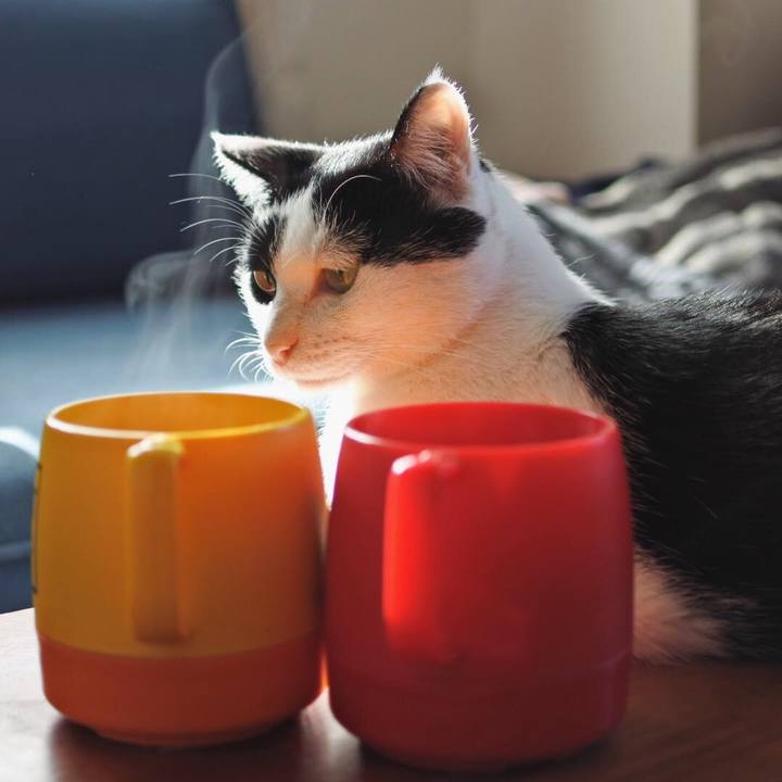 D0eb0134 606f 459b 80b7 99de2eddad76 1542243426051