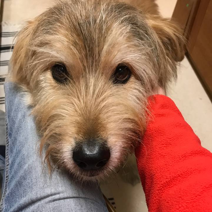 D0eb128d d7e8 41ee 85f2 fa714d4ce7ee 1615456554254