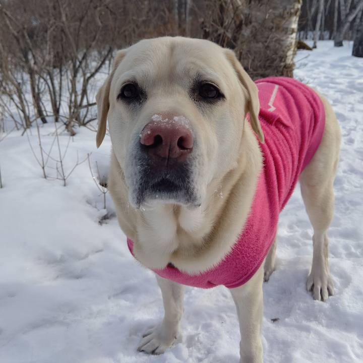 D0eb1f45 79ed 4a75 a402 b79344713c0e 1673485518498