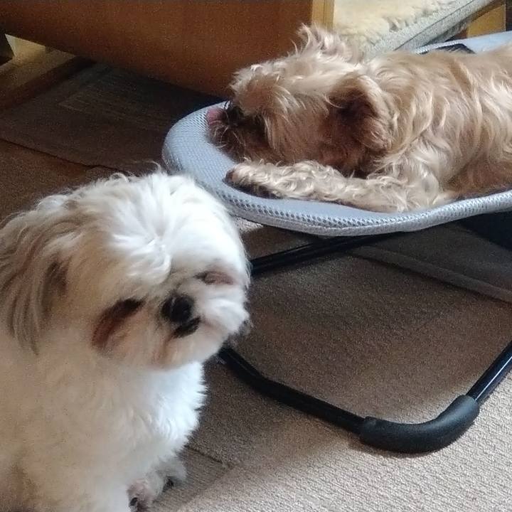 D0eb2960 0bea 408a a798 73f43685ccbf 1628655153180