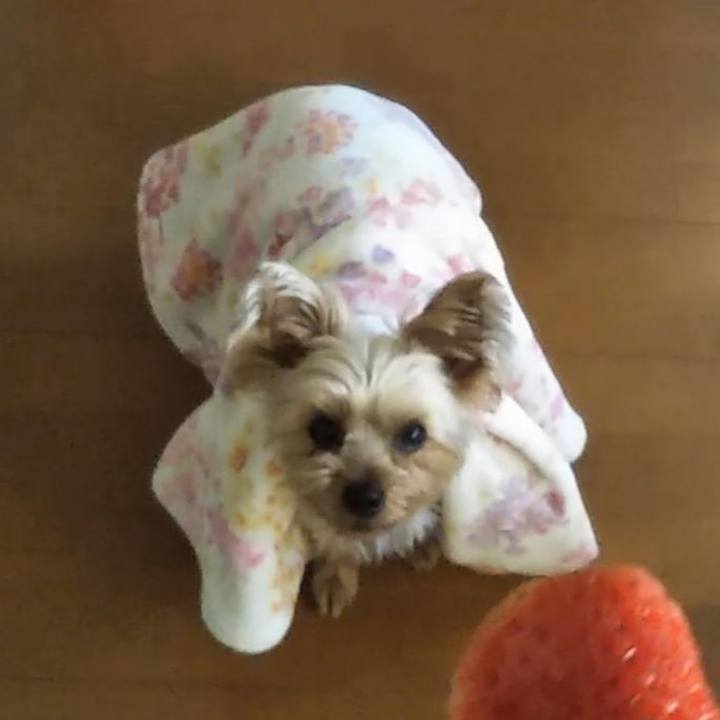 D0eb561f fb99 4f4b 98d5 728c6510ab15 1620103990252