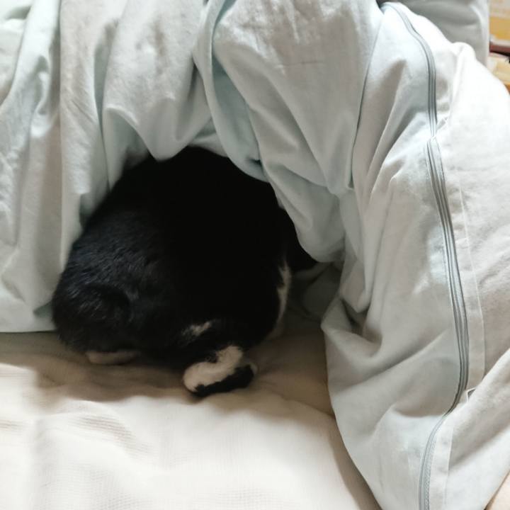 D0eba42f 1205 47a9 a116 3cae82894d0f 1669586015461