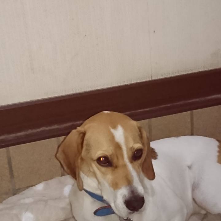 D0ebd97e 8b49 44f2 8fba 7513cd7f5337 1573911359037