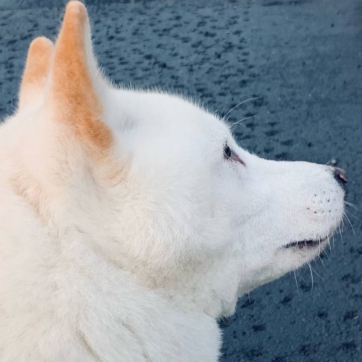 D0ec1ecc 720d 414c a197 bb2e822c2e4e 1602021165083