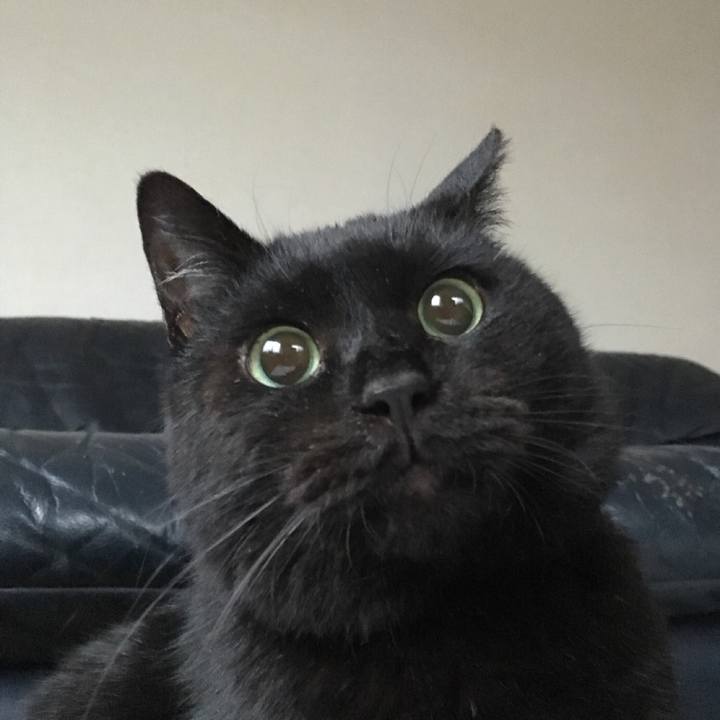 D0ec3d57 c2e9 49ca 934c 4d13a877dafa 1561246463610