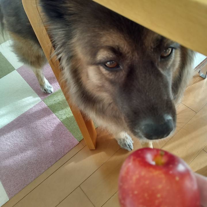 D0ec5bca f857 47d1 8a71 7139a5d11666 1763858616546