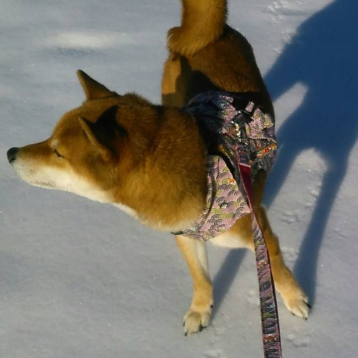 D0ec6090 51f2 4e67 a0ca 2c271d0c3660 1516969045000