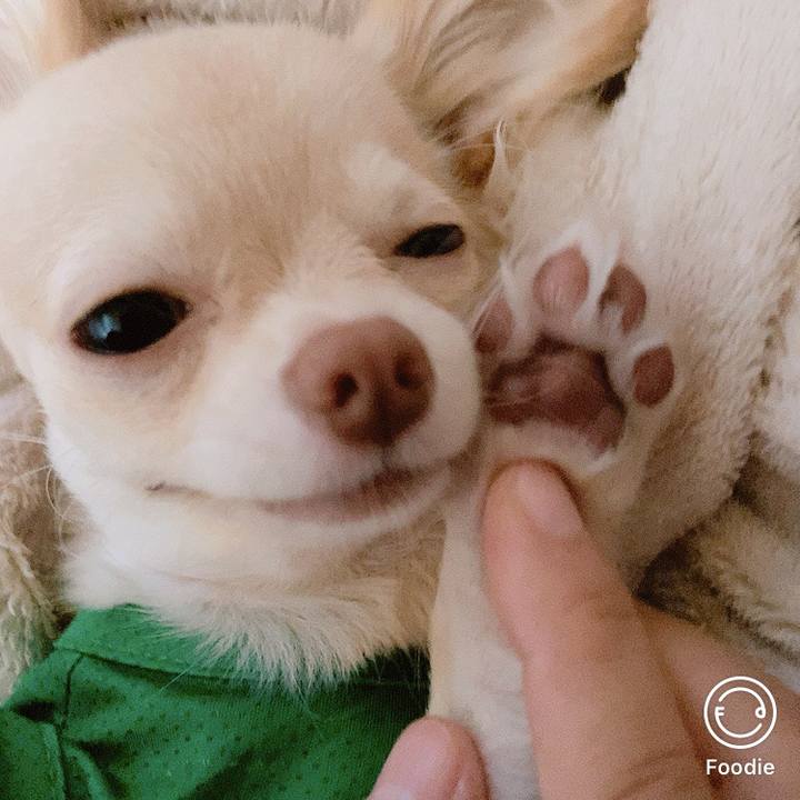 D0ec9573 82c6 42a3 ae8a 449f1aeb1301 1598995076612