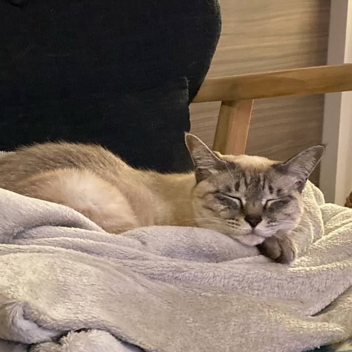 D0ecb47d 6530 4443 ba9d ba0f750868b6 1645618921464