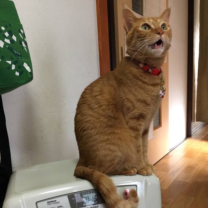 D0ecff5c 48fc 41e4 b1a4 e2157e3a6ce1 1546767346034