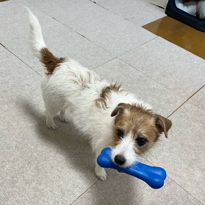 D0ed02af 15fa 410b a644 b9616deda39f 1698410791664