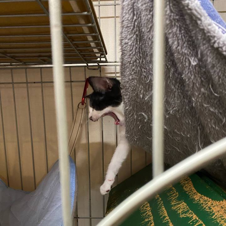 D0ed2805 02be 481a 930b 94900287d4de 1626942822943