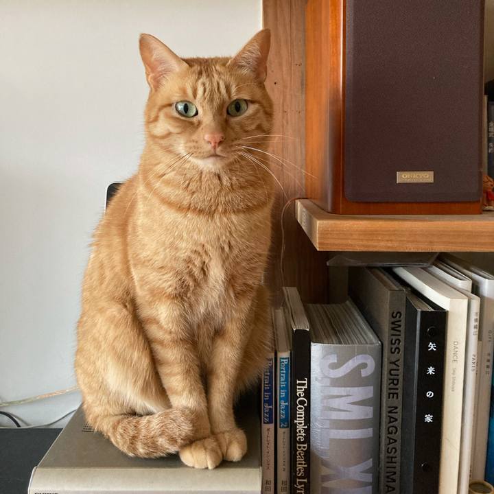 D0ed2cee 4790 4c28 8d22 e0ede93756f3 1604714633673