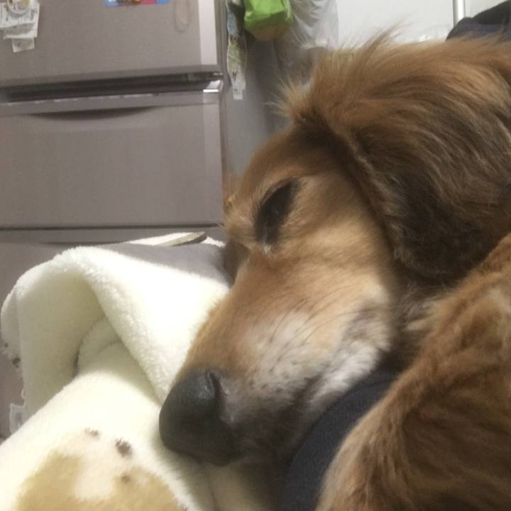 D0ed42b5 8389 4b53 9346 1a460ee08b2e 1606222124068