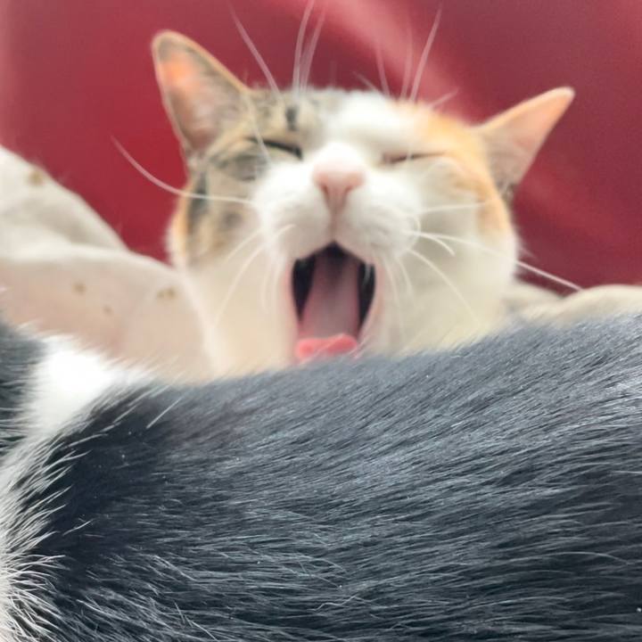 D0ed5894 0725 4502 ba41 3885c0560d61 1621961016385