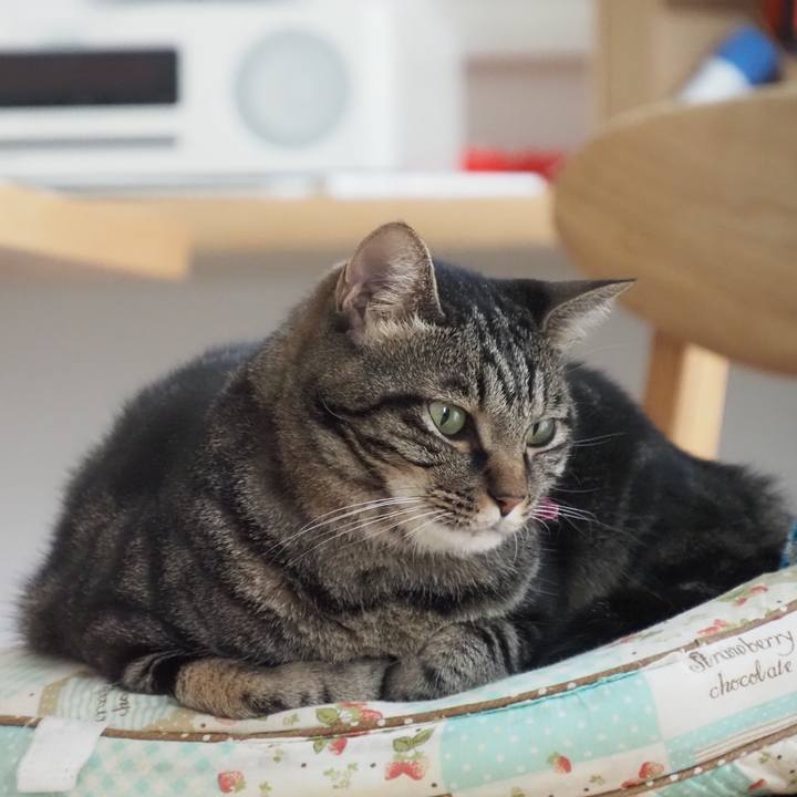 D0ed5993 447d 4fb2 b7dd cbcd29ffa395 1598921046980