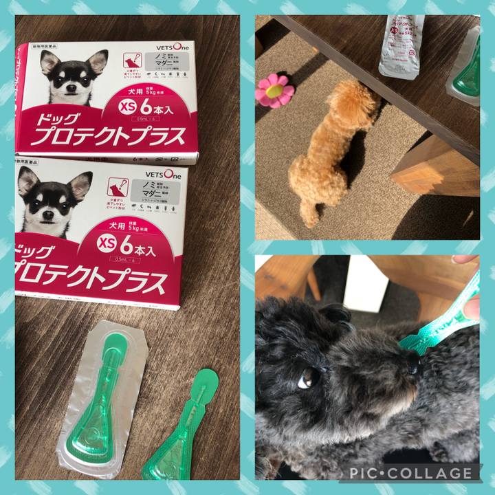 D0ed70ac 09d6 4599 82a7 9df054ec046a 1613025116039