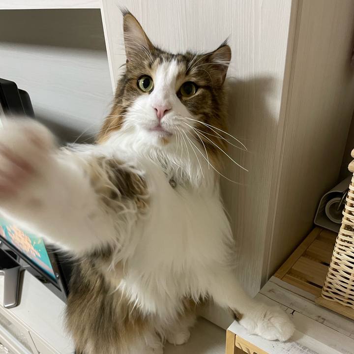 D0ed9873 fd01 4ff3 a1a7 030a328cc272 1677440508449