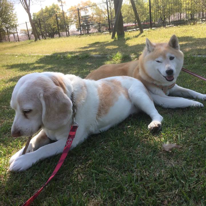 D0eda1b7 38d8 4524 93f7 f73e76b415b4 1554737838615