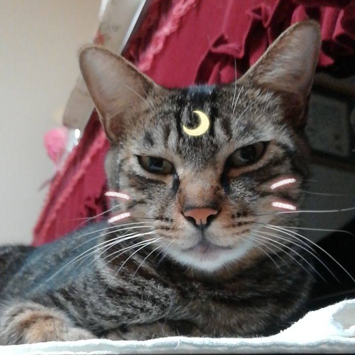 D0eda406 f231 43b0 b646 e0f881675aa5 1568729660354