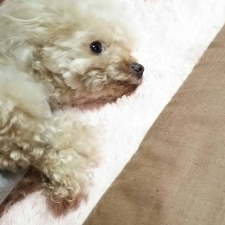 D0edbea6 a782 403c acbe 1bb47d95974d 1539608963320