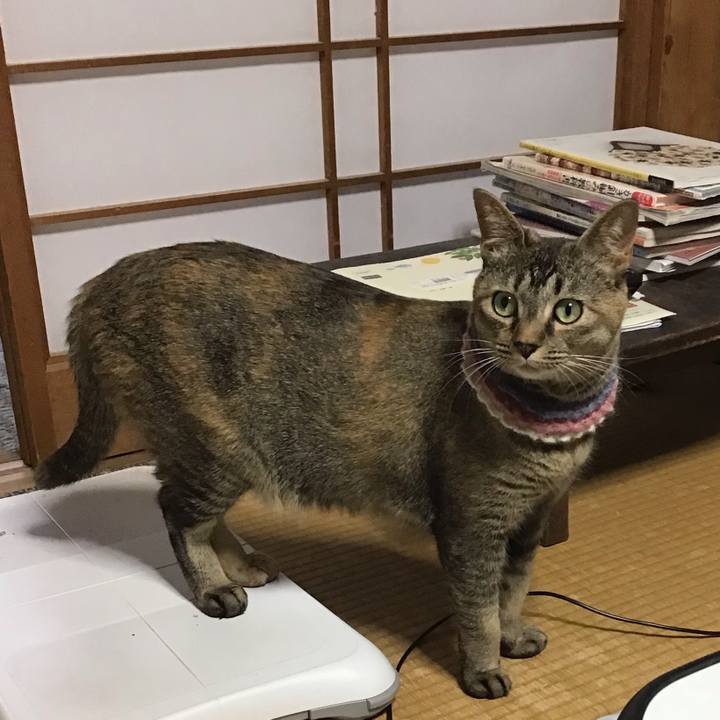 D0edca56 ebad 4c3c 9cb8 723b3831339b 1624696947617