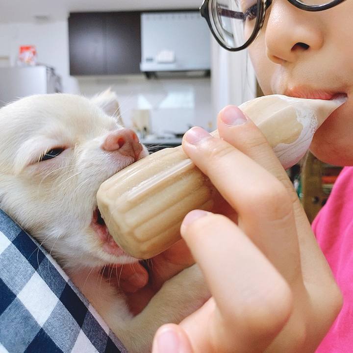 D0ee0b53 0a5c 4c17 844a bf4127ce43f8 1595043510921