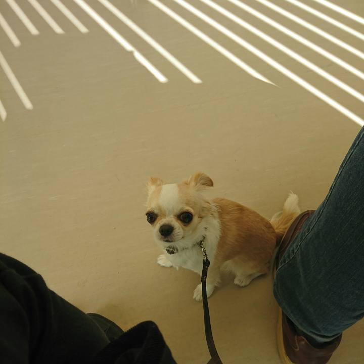 D0ee154d 0e5a 4c19 af06 7f3def94eac5 1520555288232