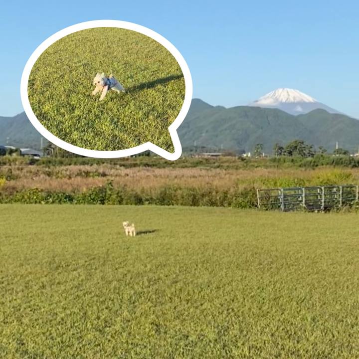 D0ee4527 d6f0 4827 9859 6d7f0981d71b 1697626237450