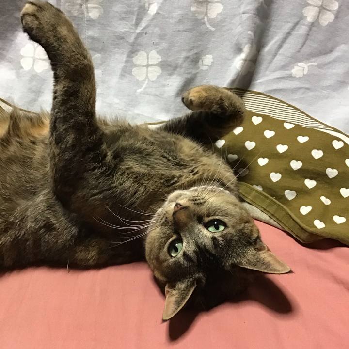 D0ee46a8 94c6 471c 8c5c c1d7e3a42fc8 1674909654737