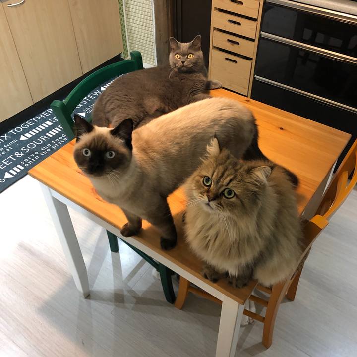 D0ee4ab3 4500 43ce a9e8 84e068215160 1601811674075