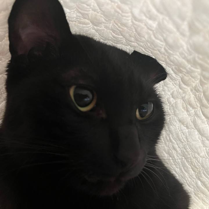 D0ee62ff 30f1 4720 bab1 aa4e9a60a3d0 1723243128602